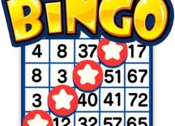 Bingo
